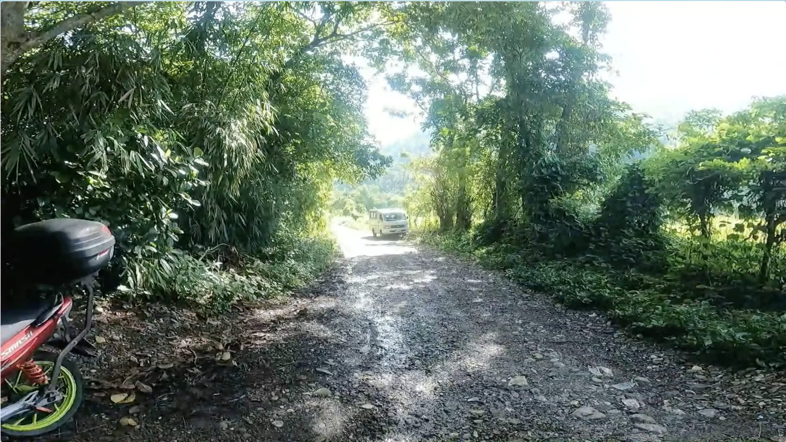 Gravel road through forest toward Laiban Barangay Hall and Daraitan Falls